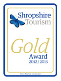 gold%20award